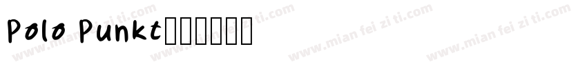 Polo Punkt字体转换